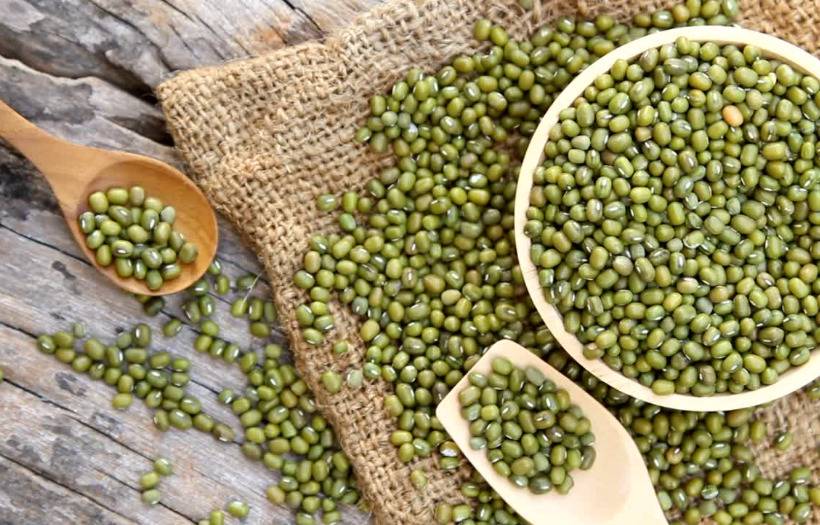 mung bean protein