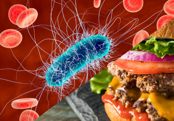 E. Coli Outbreak